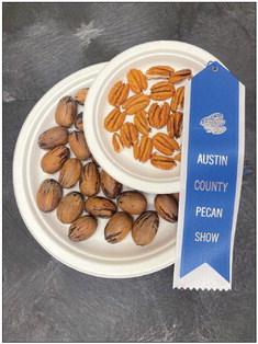 The Horticulture Committee of Austin County will host its Annual Pecan Show on Thursday, Nov. 30 at the Texas A&amp;M AgriLife Extension Office located at 800 E Wendt St, Bellville. COURTESY PHOTO