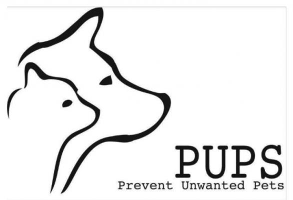 PUPs observes World Spay Day
