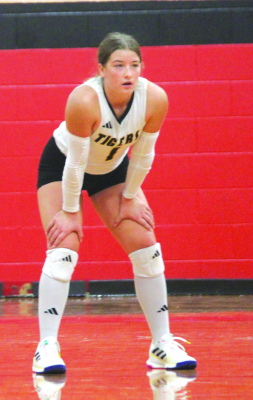 Kara Kram was chosen to be on the Academic All-State team. SEALY NEWS | EVAN HALE