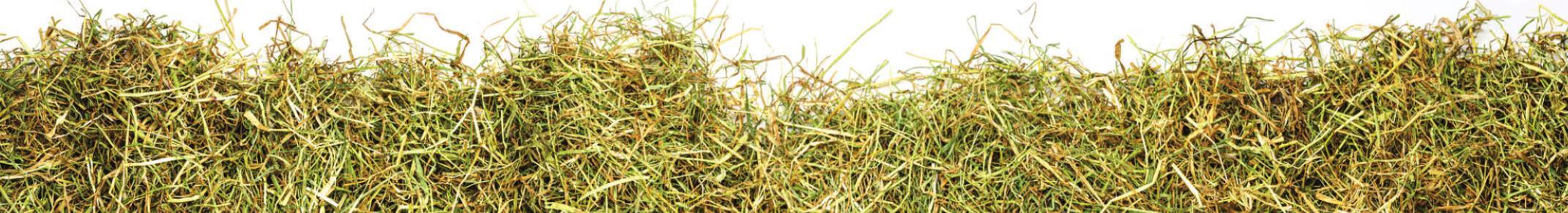 Hay sample analysis deadline is August 31