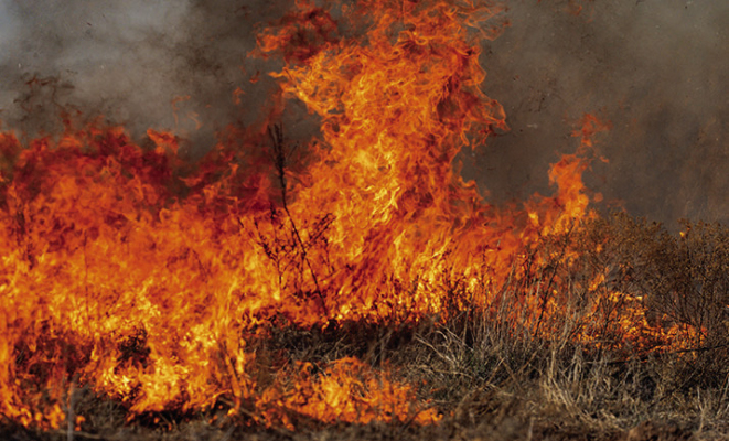 CUTLINE: Texas A&amp;M Forest Service warns of increased wildfire danger, as changing weather conditions impact the state.
