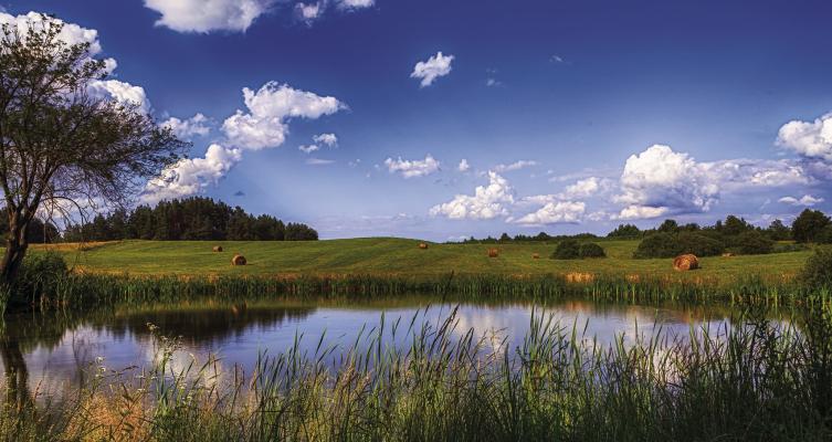 County sets pond maintenance program