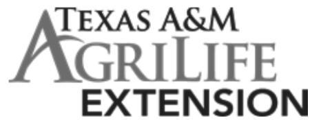 Walk Across Texas begins