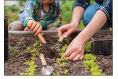 Master Gardeners set