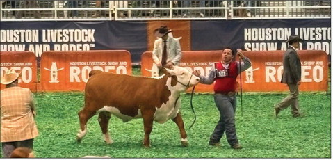 Parker takes sixth place at HLSR