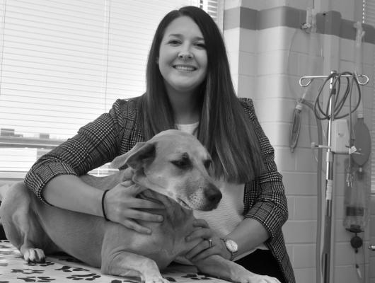 Blinn is the only community college in the state that has an agreement to complete laboratories and clinicals at Texas A&amp;M University’s Veterinary Medical Teaching Hospital, providing students hands-on training in every aspect of the wide-ranging field. PHOTOS COURTESY BLINN COLLEGE