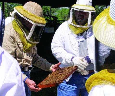 Students at the Bee School can suit up and watch while a hive of live bees is opened and inspected. The school will be held March 1 in Brenham.
