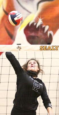 Sealy senior Avery Oliver gets up for a spike in the firstround win over North Forest at home on Oct. 29, 2020. Oliver garnered academic all-state recognition and was an all-district honorable mention in her final year. Photos by Cole McNanna