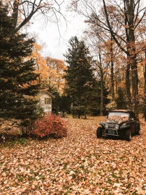 Photo by Fineas Anton on Unsplash