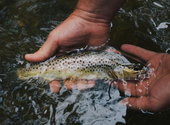 Photo courtesy: Hunter Brumels-Unsplash.