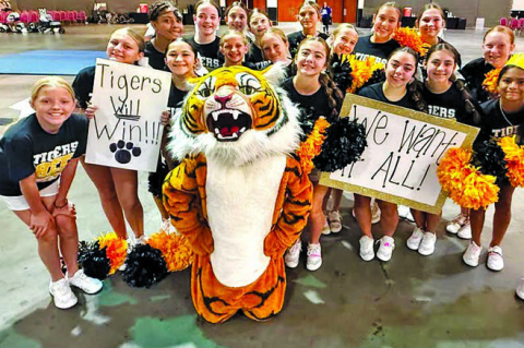 SJH cheer team earns top camp honors