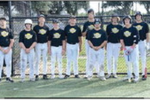 The Sealy Summer League Tigers picked up an 11-4 win over Columbus on Wednesday, July 8, in Sealy. COURTESY PHOTO